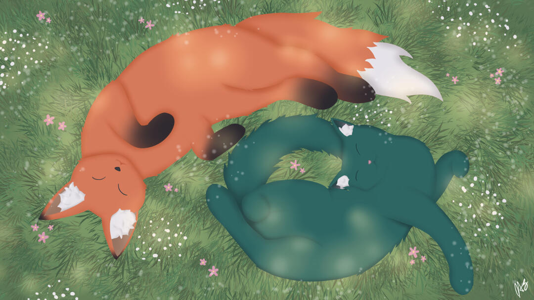 Commission for AquaSnowflake